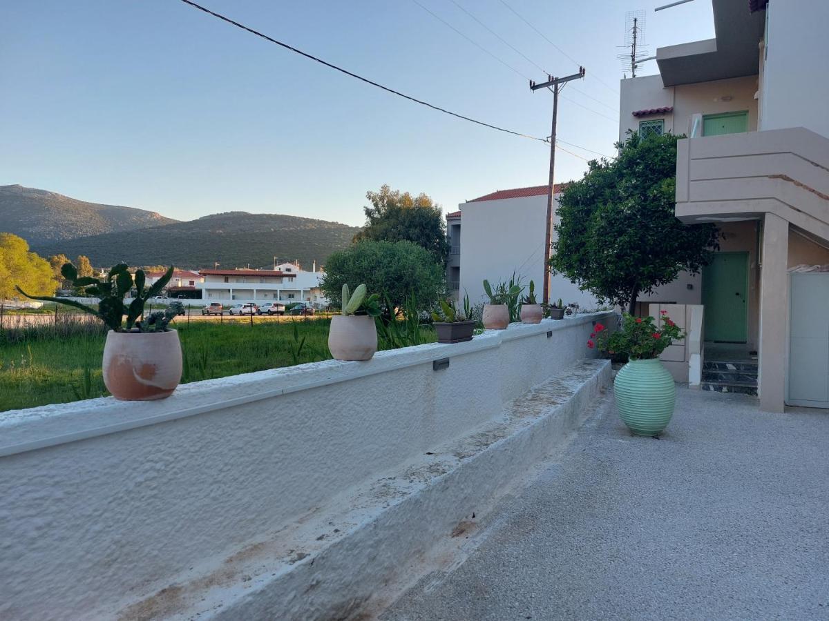 Vitamin Sea Studio Panagia  Exteriér fotografie